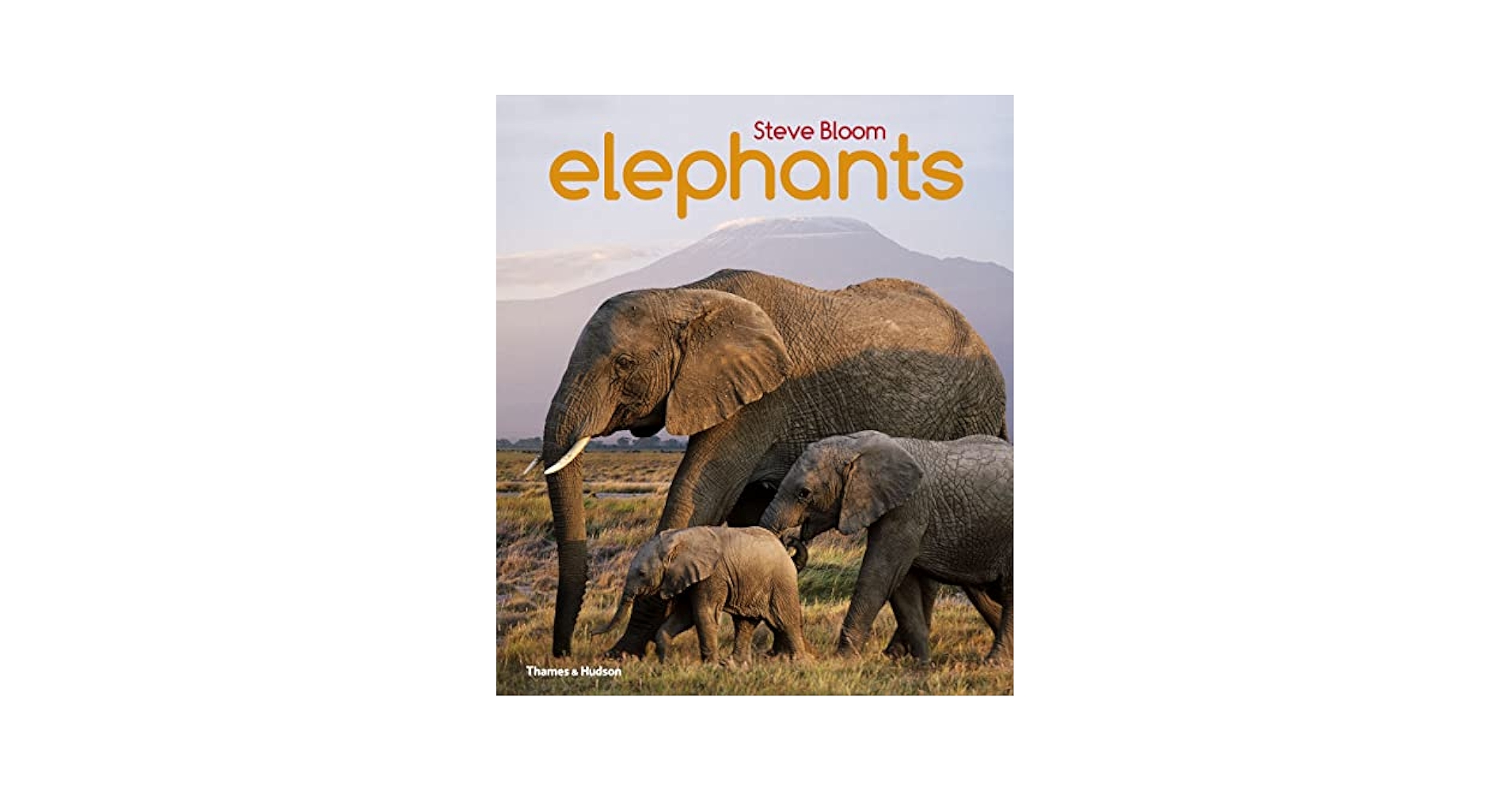 「elephant」Steve bloom Elephants: A Book for Children: Bloom, Steve: 9780500650554